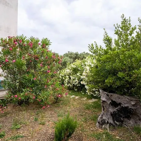 Casa Angelika, Karystos, Evia * Aetos (Evia)