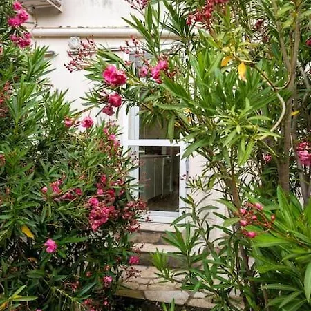 بيت للعطل Casa Angelika, Karystos, Evia