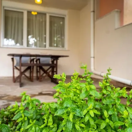 Casa Angelika, Karystos, Evia *